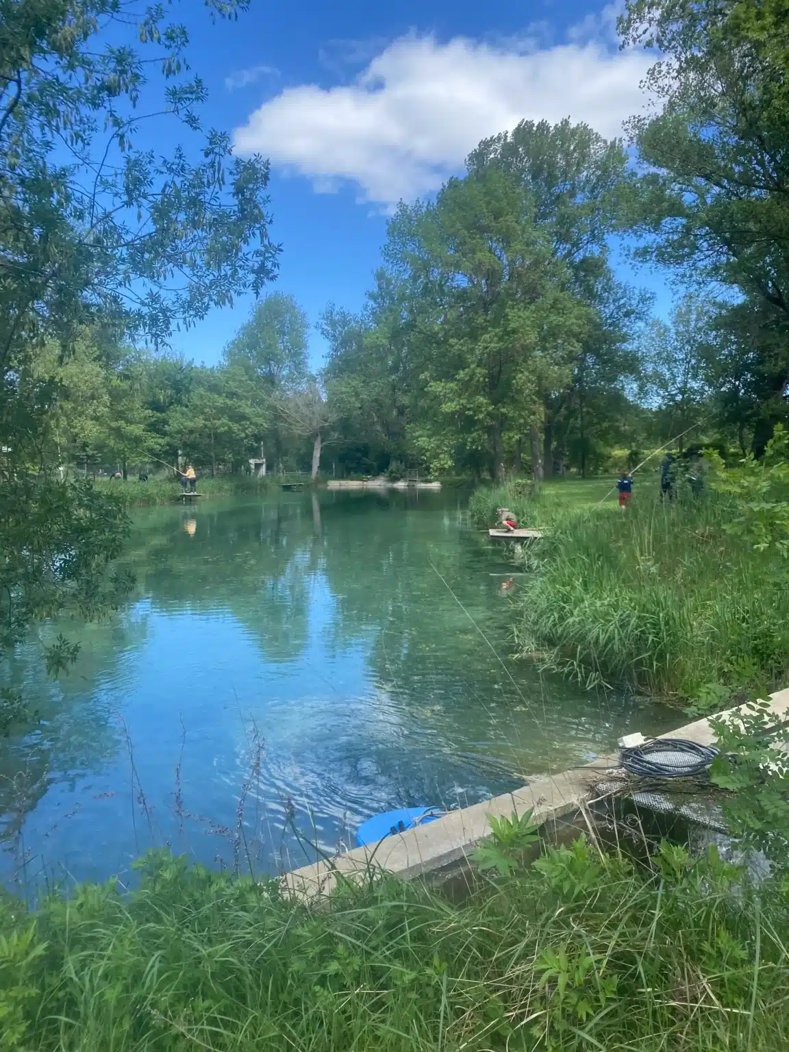 Pêche à la truite au Moulin des Fontaines